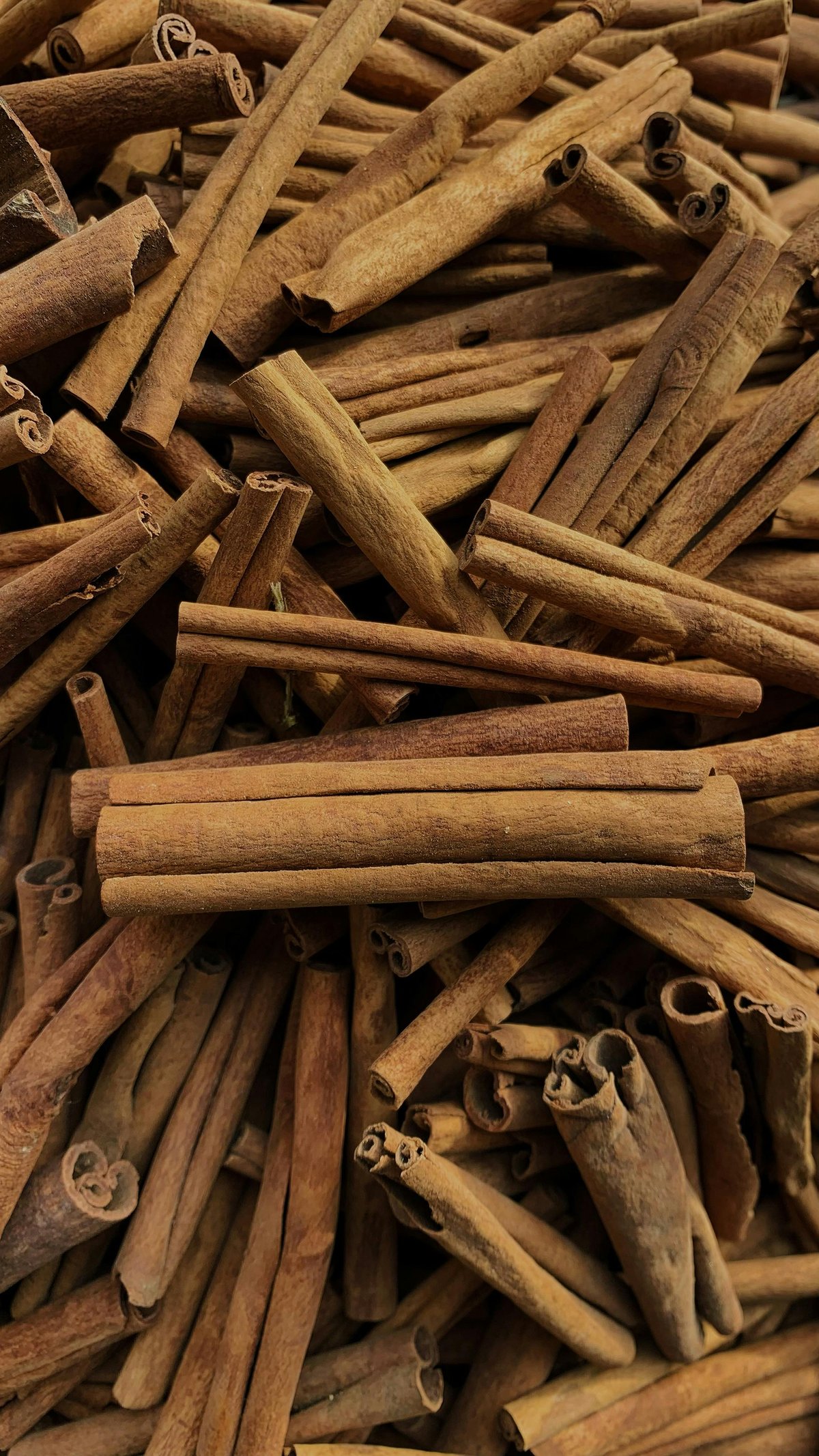 Kerala Cinnamon true cinnamon GI
