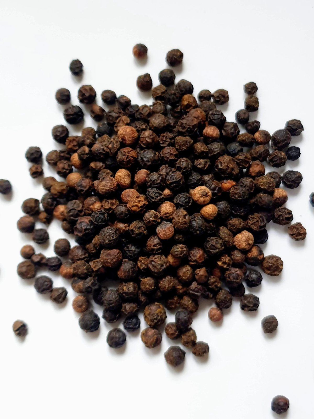 Malabar Black Pepper Kerala GI
